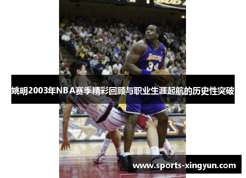 姚明2003年NBA赛季精彩回顾与职业生涯起航的历史性突破